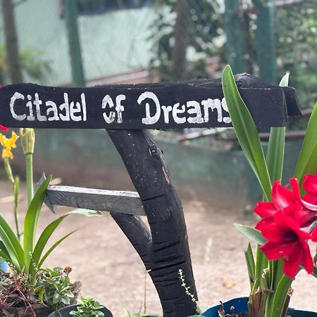 Citadel Of Dreams Ella Lejlighed Eksteriør billede