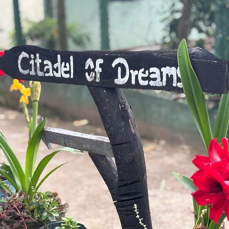 Citadel Of Dreams Ella Lejlighed Eksteriør billede