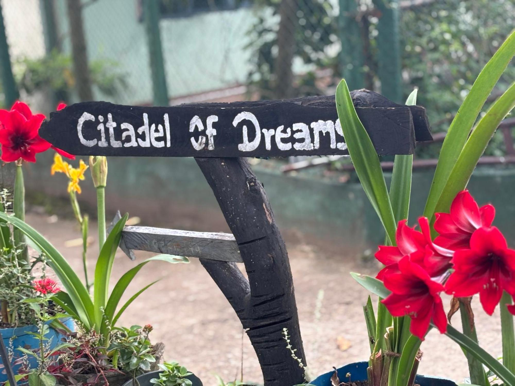 Citadel Of Dreams Ella Lejlighed Eksteriør billede